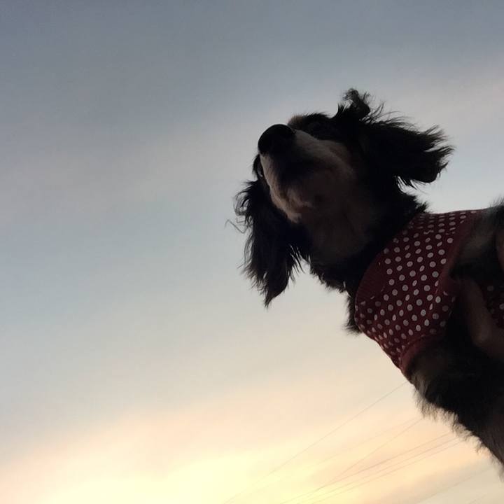 5d749569 3803 4051 9c95 6789d134ebdd 1529843395379