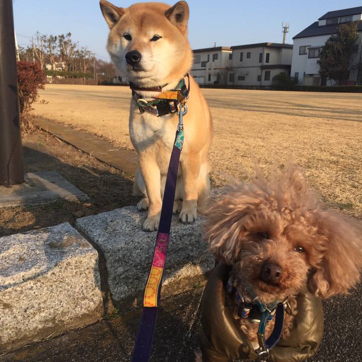 5d749d09 d606 48f4 8195 7c7b8afb0e3b 1519635346026