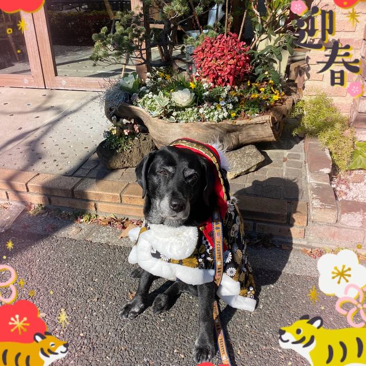 5d74bff7 a5de 47fb a6d1 ca06a53556f1 1641134724262