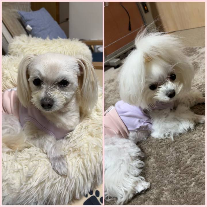 5d74cdd9 c6bf 41cb 85d6 c522423125f4 1762939789456