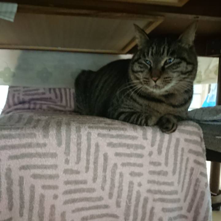 5d74f8d3 e356 42fa 8b71 c72200fc1ed1 1641676140658