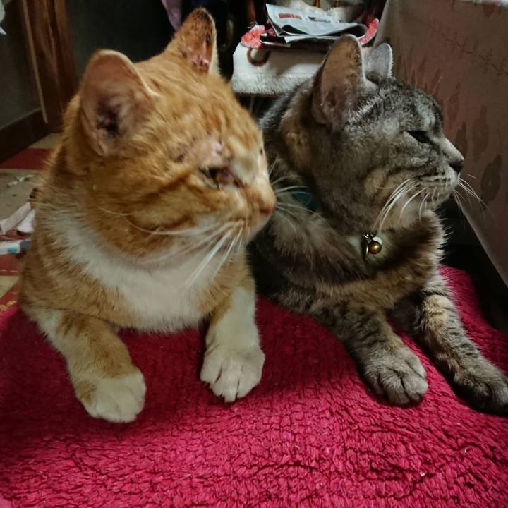 5d74f949 ce3e 4188 b6e5 b05f491de038 1550815256735