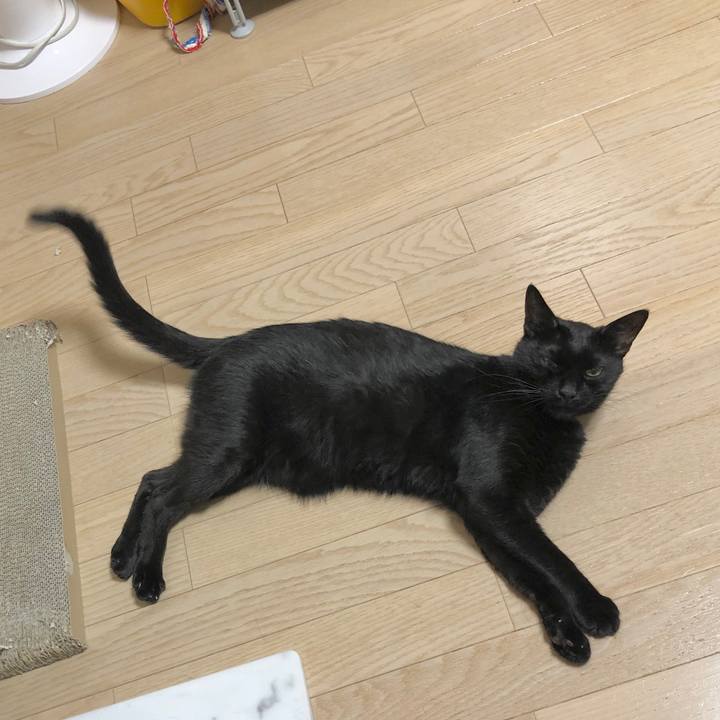 5d7516ed a1fa 4846 b9d4 a674d39feb03 1599051516253