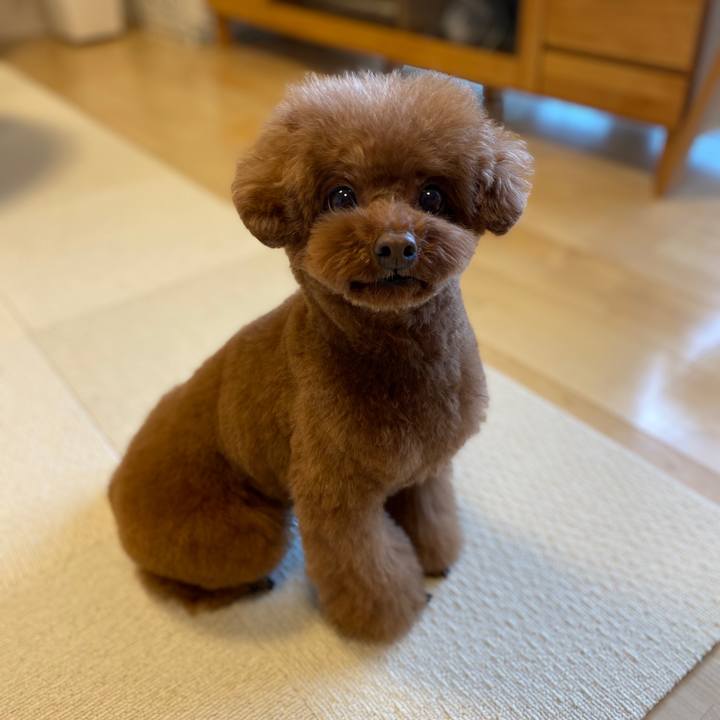 5d7519b5 0fc4 4ee4 af8a ed398b5a8776 1577230933975