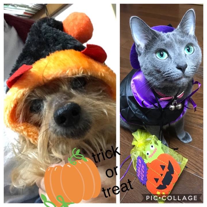 5d755159 cf34 42f6 bf5f a989d1b97f83 1572495845902