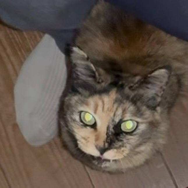 5d756b4e 3be8 43de bba5 c769a510ba45 1746609763678