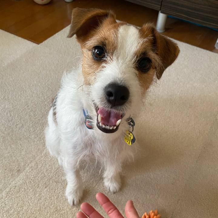 5d7580f9 ea38 43ae 84d4 2ad5013b0b29 1747604089768