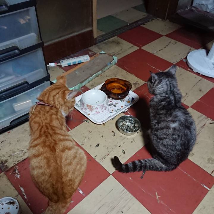 5d75b0b2 e818 430d abfa 92727536435e 1567282043254