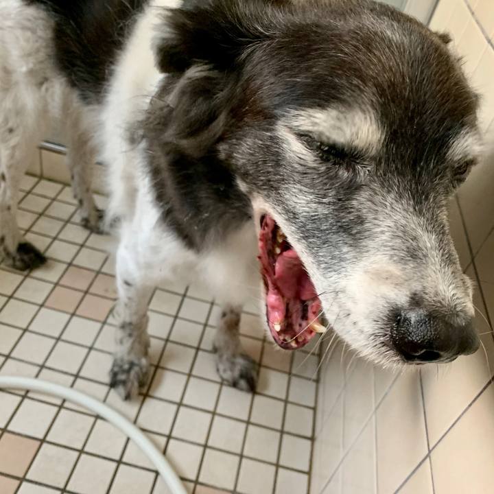 5d75f359 518a 4e82 9764 e97b05503267 1574172112768