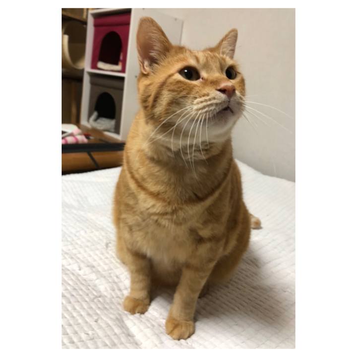 5d7609de 03e5 46b3 9d9f 8d469462a9be 1589980585282