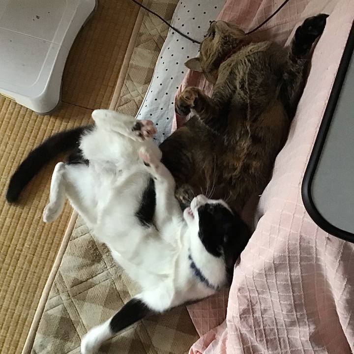 5d762de9 0bcc 412a b7a8 6dc3de46a0f2 1640845772817