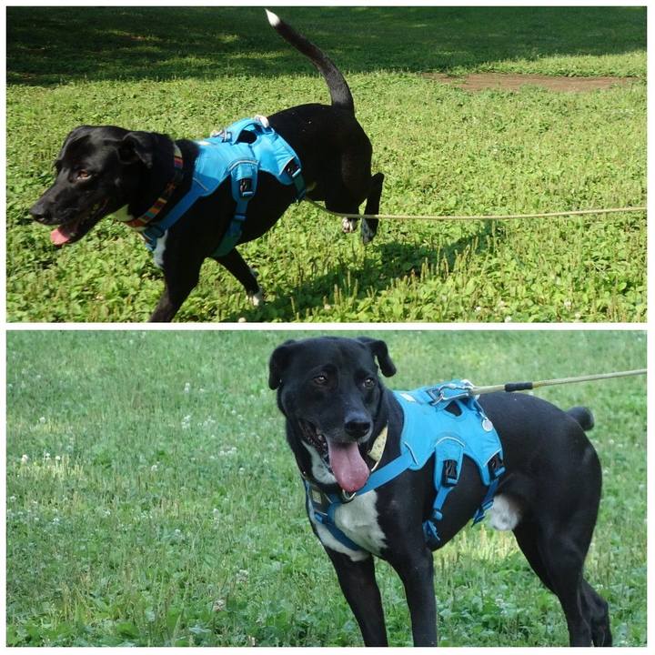 5d7633e5 9324 414b a49a b42d93f6fe02 1623111861109