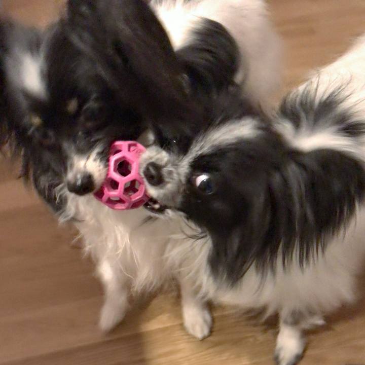 5d76359e 3633 490e afff ce9a085cd7e2 1520511191729