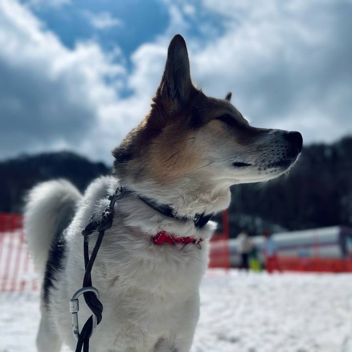 5d765c3c fabf 4e01 b015 0b2fce43870c 1773628619412