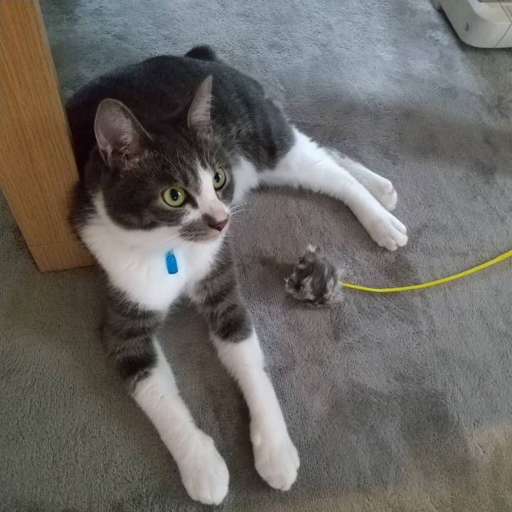 5d769a2f 810c 48fe 9689 7bf1c57918c8 1600040037623