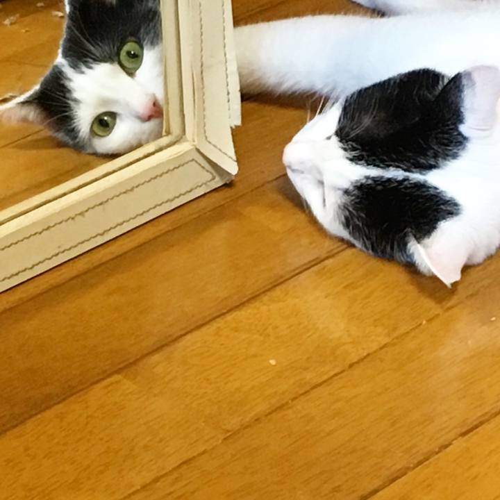 5d76a3cf 902b 485e bb8c 6317243d5cb8 1535322819738