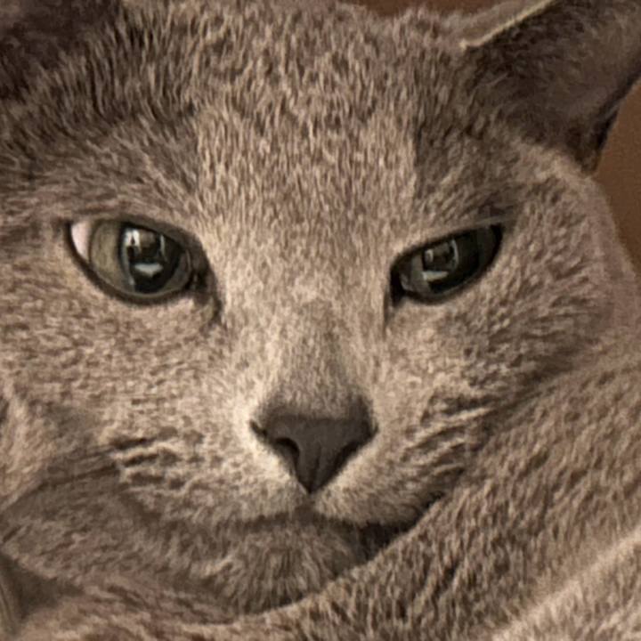 5d76c319 e669 4b24 9501 fd44566ab0e3 1736419793974