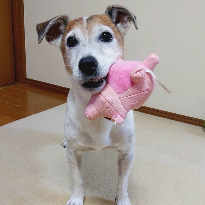 5d76cd58 b7f7 457d 9a22 b2eccaff59c1 1534418644798