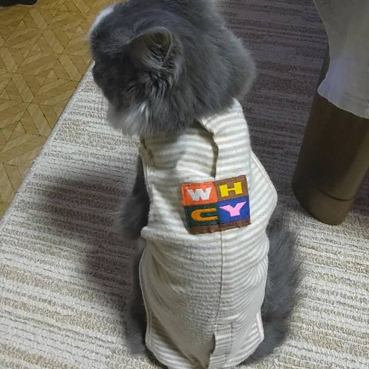 5d76e4df 8445 4b79 b23b 04c2344fde33 1572686568510