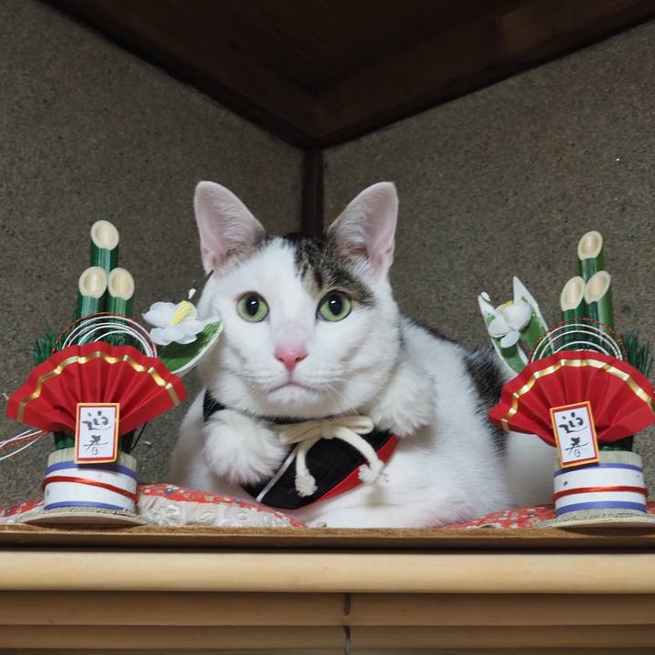 5d76eb9e 3d90 40a9 8fbc 55a0921ef3ad 1577844169310