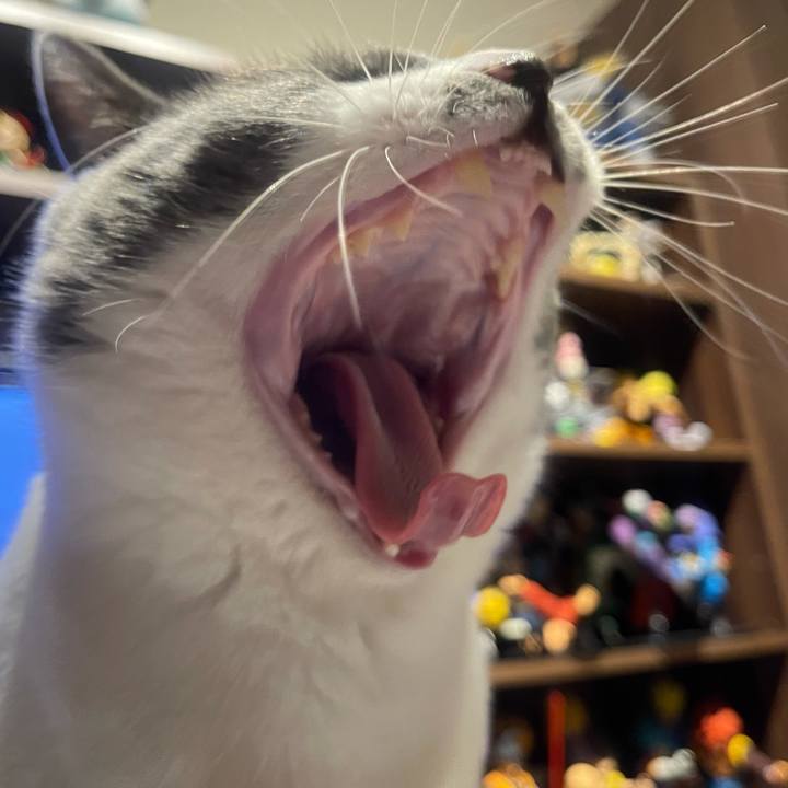 5d773260 0d83 4642 9061 0c696dcc37cb 1635674358603