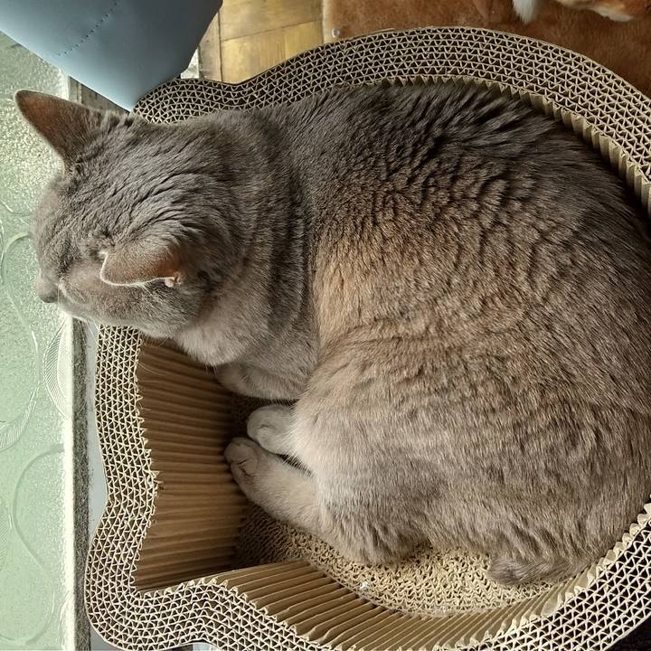 5d775aa7 cfd0 4d57 a05b 0493dcf7cb18 1649130018939