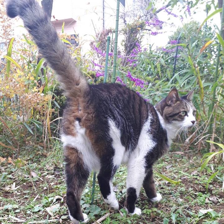 5d776235 992c 433a a131 38a86c399617 1669004095177