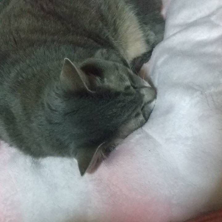 5d7767dc 41fa 4f65 b84e b7f622a959ee 1615385241135