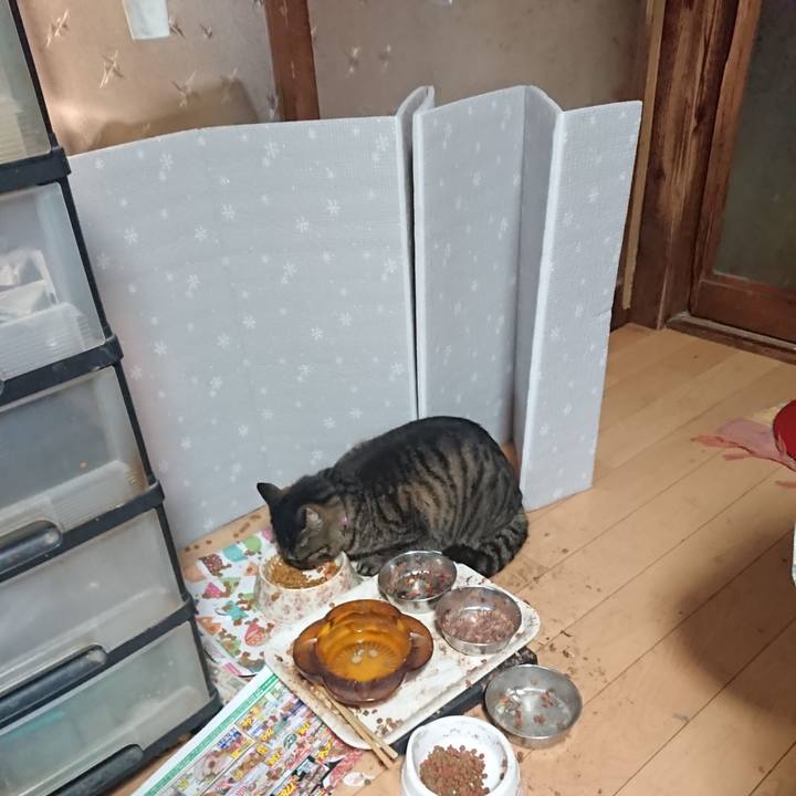 5d778ac5 286e 47d3 aa2b 6b18325e6a0e 1649279497949