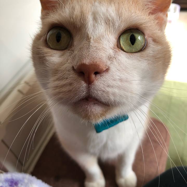 5d77b9b2 c257 434b 937b c7e4dd87d85a 1630449099546