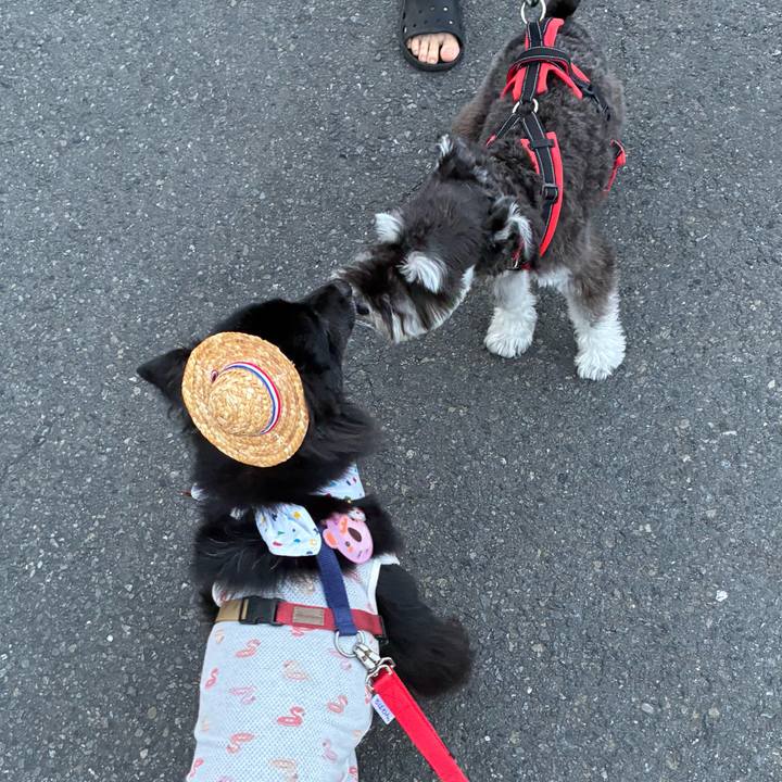 5d77c975 cd70 4fb9 be24 b058b4ceb7a3 1757253528379