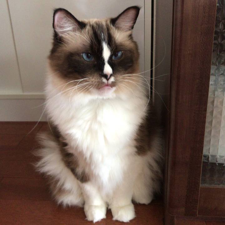 5d77d7cc b750 4025 8431 fb2edb560c51 1508792995275