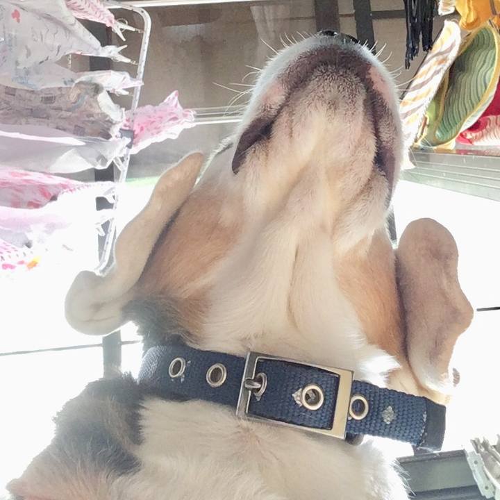 5d77edc7 732a 4ccf ad75 9d399e317209 1552969033331