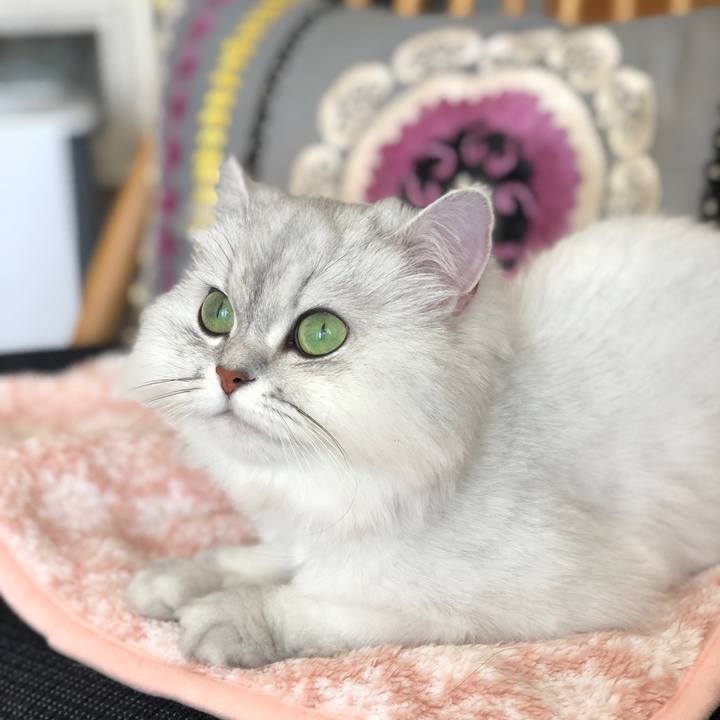 5d77ef49 f47b 4718 bb29 b936e5b7c8e9 1526270328383