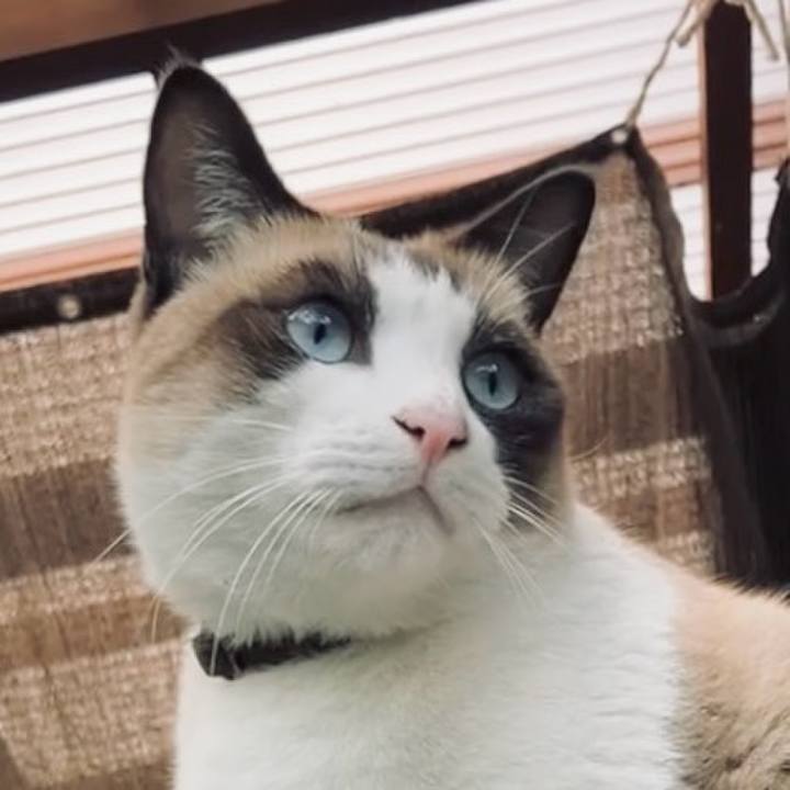 5d780ab4 fd4d 41d8 a6da c7339d39256e 1731913840461