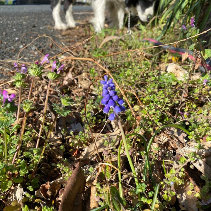 5d781845 ebe3 479d b72a dfdd917b9b34 1614731250196