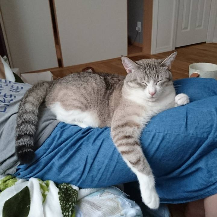 5d7829ae b115 4bda 8a0b b7c38724b9dd 1566446495873