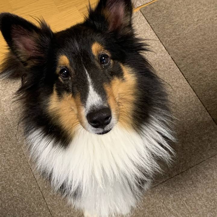 5d785d2c c415 4c66 92aa 8a7a48add177 1571953774286