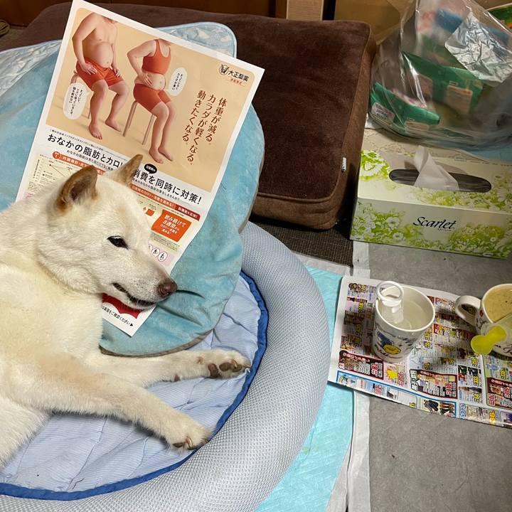 5d787231 9b46 440a 8e58 dca77709461f 1654689241491