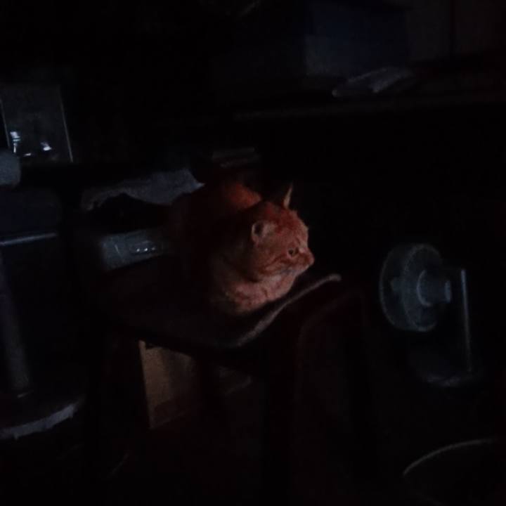 5d788423 e5ca 47cf 91c8 4ef39d7f9845 1663278743142