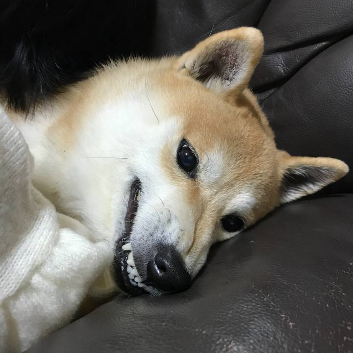 5d788846 4676 4ec4 b79b d0a7037e0438 1516665395757