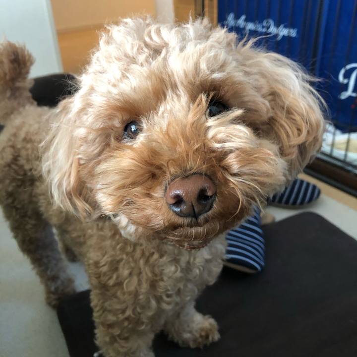 5d78d9af dbd3 4781 a886 5078b5548d43 1734963207383