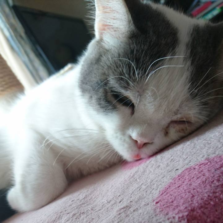 5d796606 ed4a 4758 a7eb f0e767cdce57 1540601838112