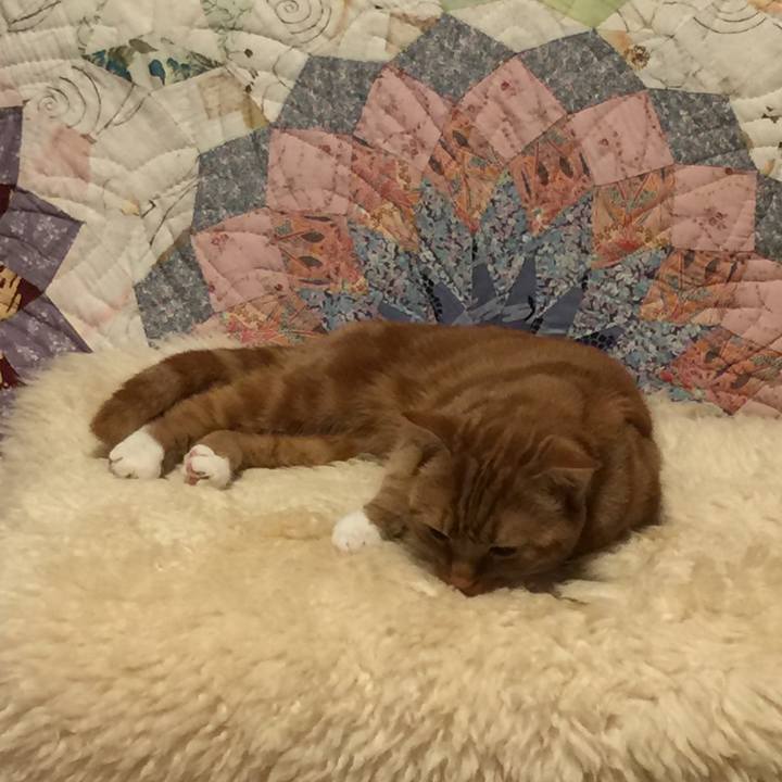 5d7974a4 aab8 47f2 a930 113cff933a9e 1525960131336