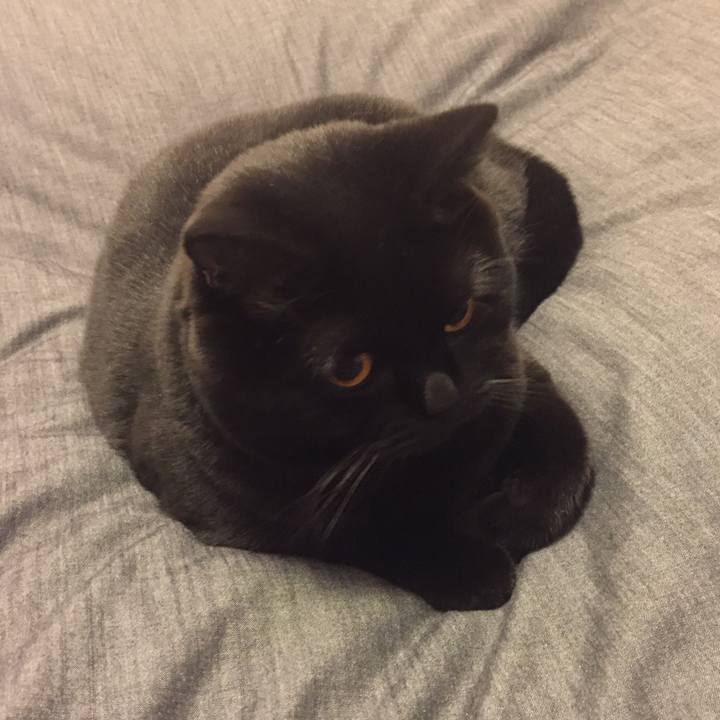 5d797d61 9b02 4c58 8696 2fffb0dca7c5 1508679248420