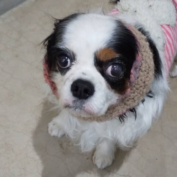 5d798a0e 56a1 447f bc4c a1f56b8463b9 1636424807815