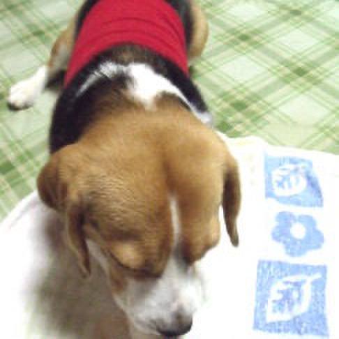 5d798a2b 6f17 4f9b bca6 cd5862c51817 1720564474732