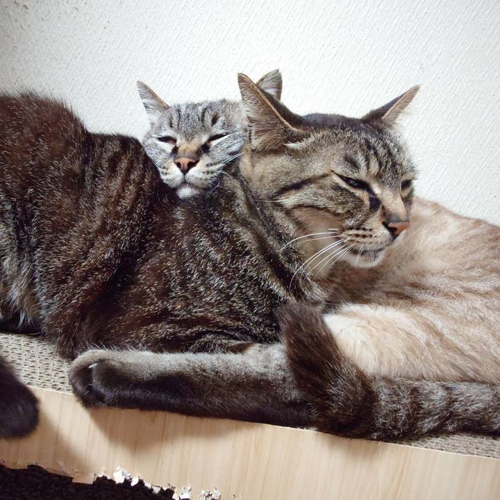 5d799afc 0b2e 4554 9a08 537e7ed44464 1749648005798