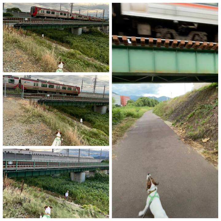 5d799cee 55a6 4673 bbdc 078e53bdb70b 1694099777035