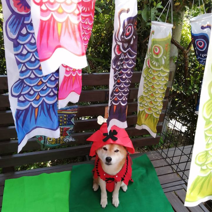 5d79cf76 cf54 4082 a99c 7c95914c7590 1682732047923